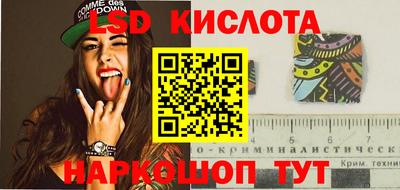 гидра Гатчина