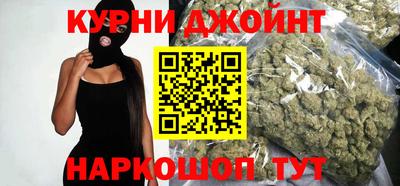 гидра Гатчина