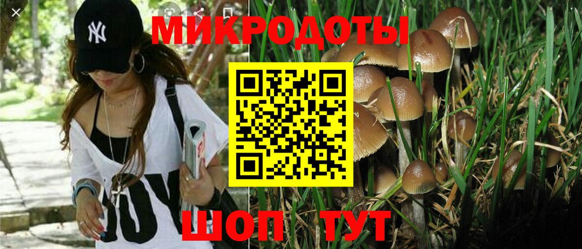 Галлюциногенные грибы прущие грибы  Вход с VPN  Красноперекопск 